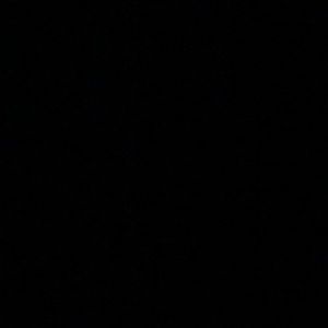 Meet your Posher, Donte